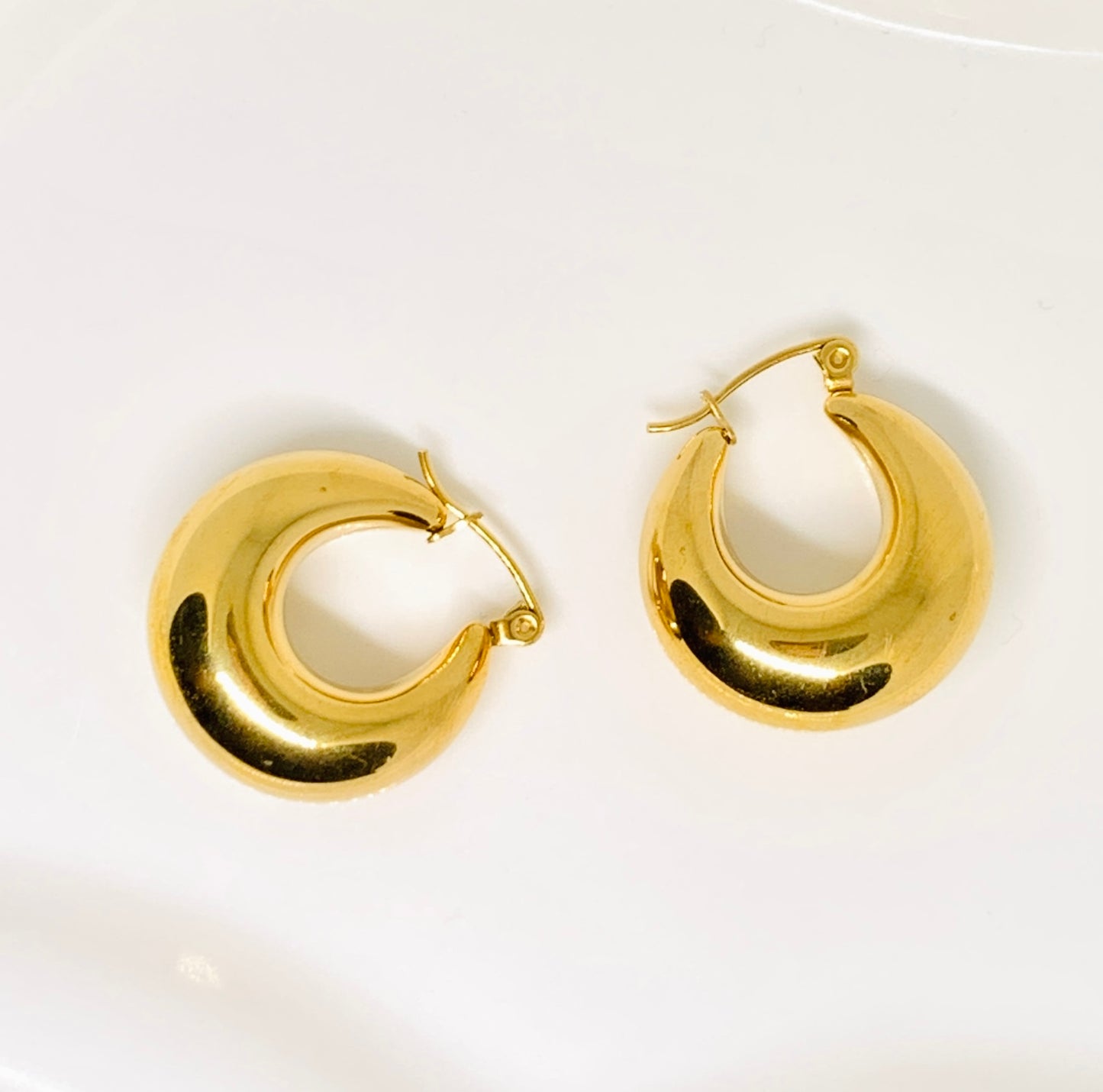 Orecchini Big Circle